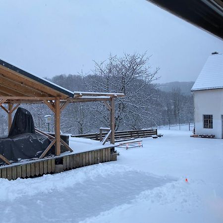 Sabine'S Gaestehaus Übereisenbach Exterior foto