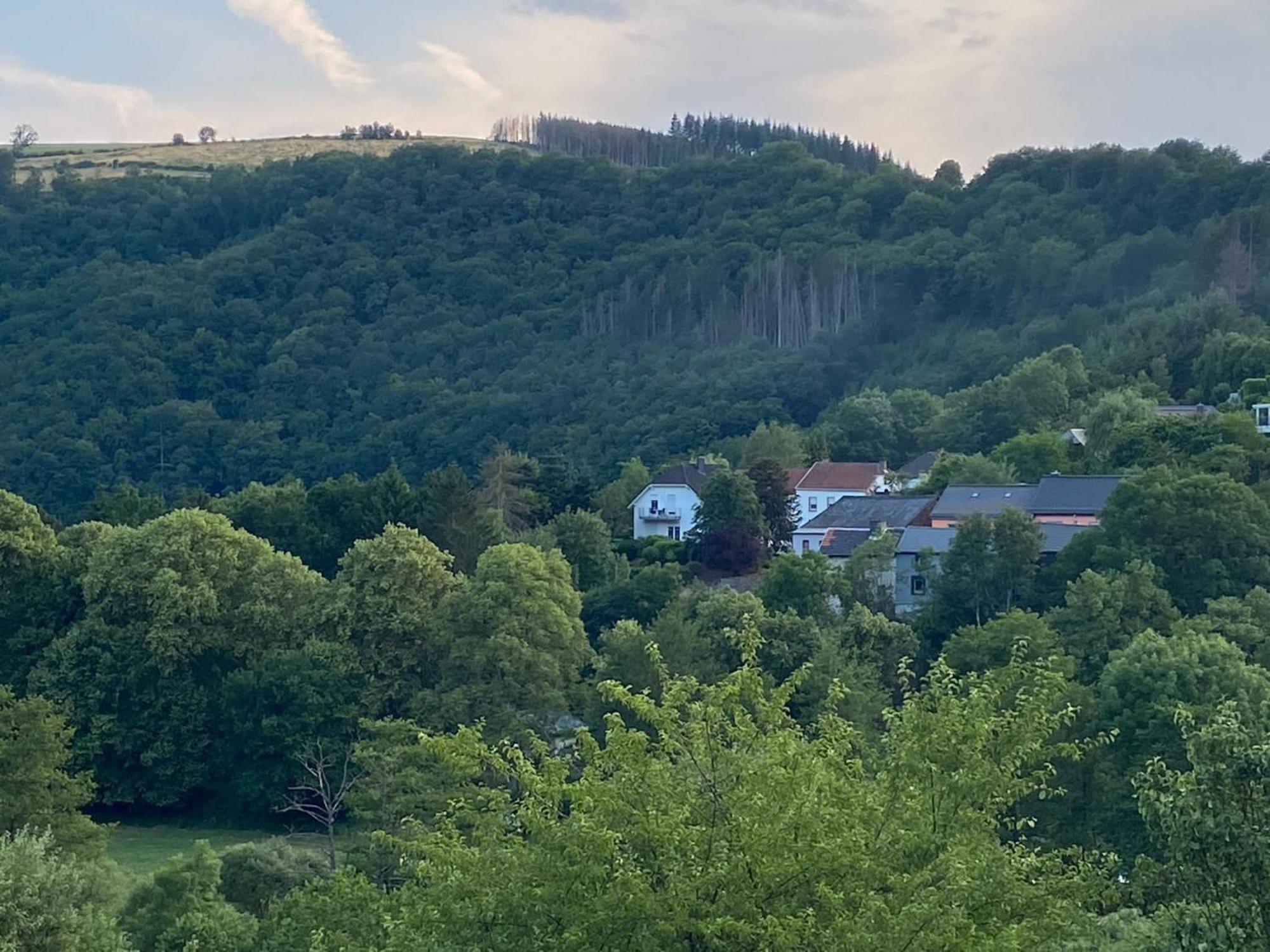 Sabine'S Gaestehaus Übereisenbach Exterior foto